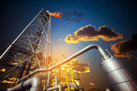 Unveiling the Impact of Carbon Dioxide Emissions on Business: A Fact-Based Exploration