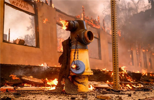 Are California's Water Management Policies to Blame for Los Angeles' Wildfires?