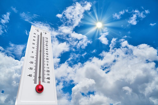 Navigating the Heat: Inside California's Move Towards Indoor Worker Safety