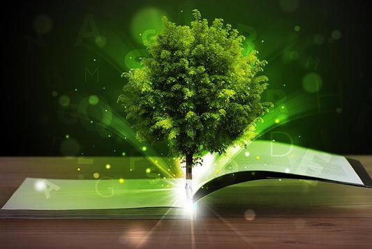 California's Environmental Leadership: Regulations, Sustainability, and Your Role in Protecting the Golden State