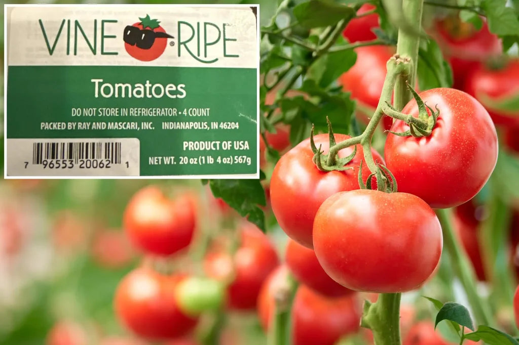 Tomato Trouble: Multi-State Recall Issued Over Salmonella Concerns