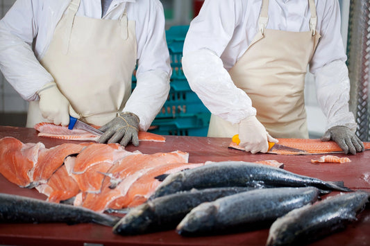 Navigating Fish Food Safety: Essential Insights for Health-Conscious Consumers