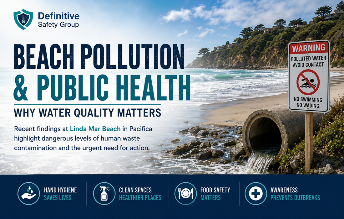 Beach Pollution and Environmental Health: Why Water Quality Matters