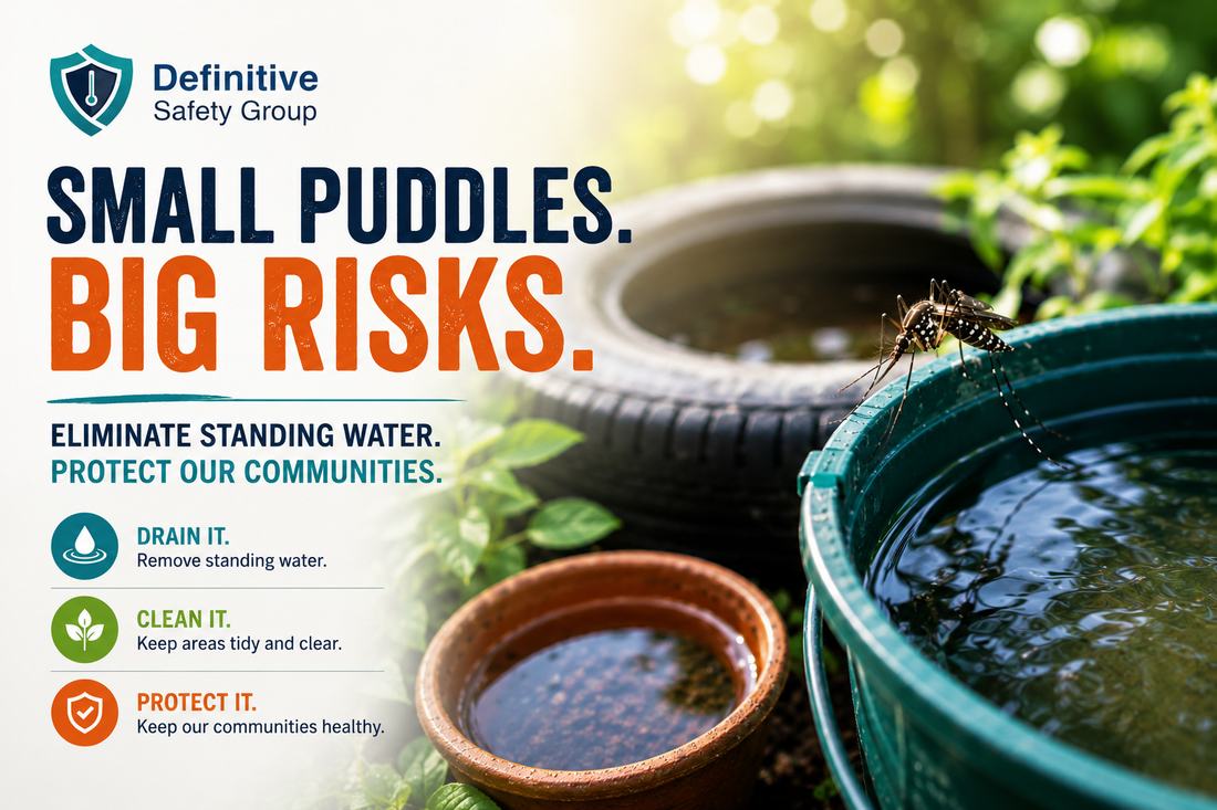 Mosquitoes, Standing Water, and Environmental Health: Small Problems with Big Risks