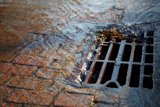 Harnessing the Power of Stormwater: Protecting Our Environment from Runoff Risks